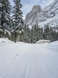 Switzerland Mountain Landscape: Snow and a Grey Sky
