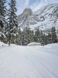 Switzerland Mountain Landscape: Snow and a Grey Sky