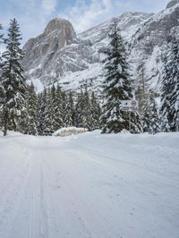 Switzerland Mountain Landscape: Snow and a Grey Sky
