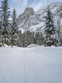 Switzerland Mountain Landscape: Snow and a Grey Sky