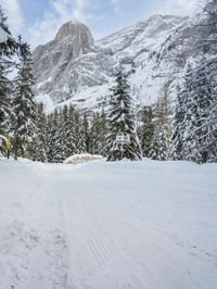 Switzerland Mountain Landscape: Snow and a Grey Sky