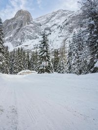 Switzerland Mountain Landscape: Snow and a Grey Sky