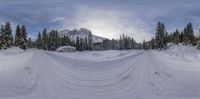 a snow covered road and forest with many skiers and snowboarders in the distance