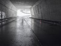 Road in Switzerland: Monochromatic View of the Alps