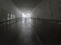 Road in Switzerland: Monochromatic View of the Alps