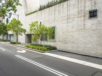 a street with buildings, a green tree and bushes on the side of it and a car parked in the side