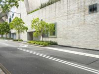 a street with buildings, a green tree and bushes on the side of it and a car parked in the side