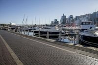 the water next to many small boats is calm in the marina with skyscrapers and a walkway