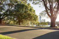a street that has some trees in it and buildings behind it and a person sitting on one side of the road with a skateboard