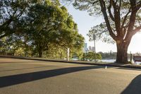 a street that has some trees in it and buildings behind it and a person sitting on one side of the road with a skateboard