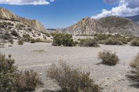 Tabernas Desert in Spain: A Dirt Road Adventure