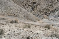 a horse rides down a dirt road through some hills in the desert to reach the top of its cliff