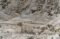 a horse rides down a dirt road through some hills in the desert to reach the top of its cliff