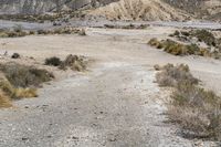 a motorcycle that is parked in a desert area of death valley national park, utah