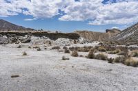 a large, barren area has rocks, shrubs and plants and sand scattered on the ground