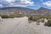 Tabernas, Spain: Mountainous Landscape with Lush Vegetation