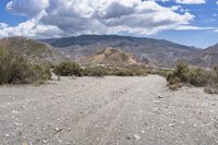 Tabernas, Spain: Mountainous Landscape with Lush Vegetation