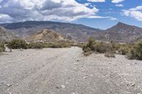 Tabernas, Spain: Mountainous Landscape with Lush Vegetation