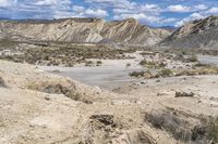 a desert that has some rocks and bushes in it, under a blue sky with white clouds