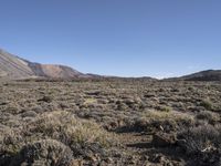 Tackling the Rugged Mountains of Tenerife