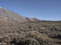 Tackling the Rugged Mountains of Tenerife