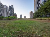 a field full of green grass with many buildings in the back ground and trees on each side