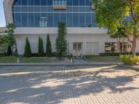 the sidewalk outside a large building with a tree in front of it and a fire hydrant at the entrance