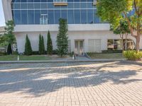 the sidewalk outside a large building with a tree in front of it and a fire hydrant at the entrance