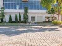 the sidewalk outside a large building with a tree in front of it and a fire hydrant at the entrance