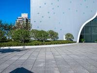 a concrete walkway in front of buildings and trees with circular designs on it in a city