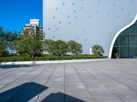 a concrete walkway in front of buildings and trees with circular designs on it in a city