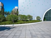 a concrete walkway in front of buildings and trees with circular designs on it in a city