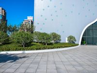 a concrete walkway in front of buildings and trees with circular designs on it in a city