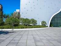 a concrete walkway in front of buildings and trees with circular designs on it in a city