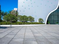 a concrete walkway in front of buildings and trees with circular designs on it in a city