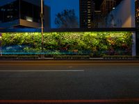 street in front of a city green wall with plants, lights and buildings at night