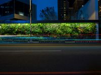 street in front of a city green wall with plants, lights and buildings at night