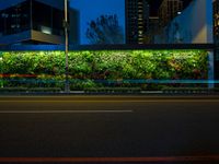 street in front of a city green wall with plants, lights and buildings at night