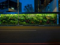 street in front of a city green wall with plants, lights and buildings at night