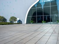 an outside view of a building with windows and lots of greenery and plants in front of it