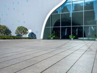 an outside view of a building with windows and lots of greenery and plants in front of it