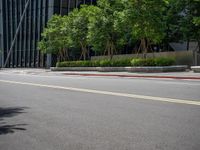 two yellow painted lines on the road in front of a tall building with windows and tree lined walkways