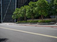 two yellow painted lines on the road in front of a tall building with windows and tree lined walkways