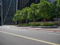 two yellow painted lines on the road in front of a tall building with windows and tree lined walkways