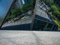 a city street reflecting in glass next to buildings on either side of it, with trees, bushes, and trees to the right