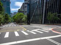 empty city street with multiple lanes on both sides of the street and lots of green trees in the middle of the road