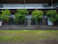 a person sitting on a bench near a building with a window that has trees outside