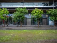 a person sitting on a bench near a building with a window that has trees outside