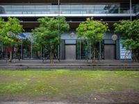 a person sitting on a bench near a building with a window that has trees outside