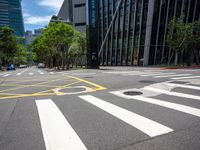 a cross walk on an empty city street, with lots of trees and buildings in the background